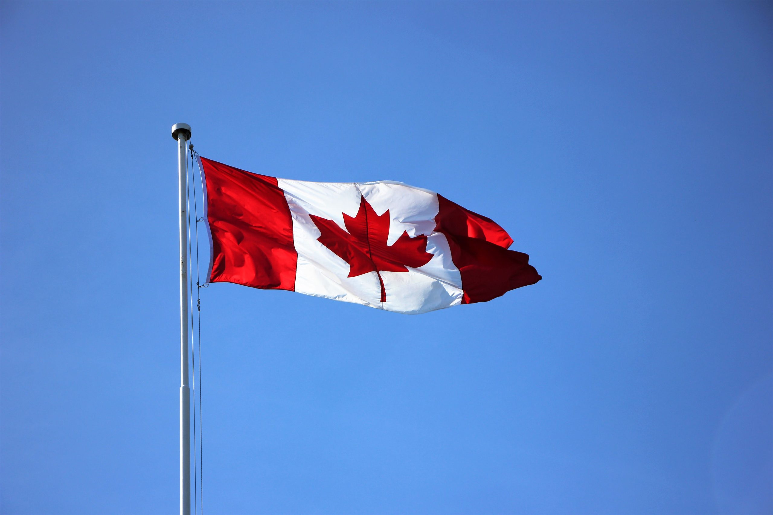 Explorando el mercado laboral de Canadá: industrias con más oportunidades